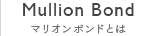 マリオンボンドとは